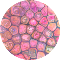 Bursprak Farver ESP Nuke Bottom Stamp