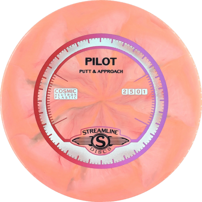 Cosmic Neutron Pilot