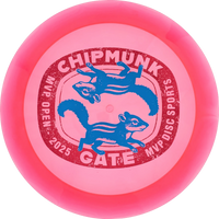 Proton 2025 MVP Open Engine