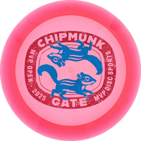 Proton 2025 MVP Open Engine