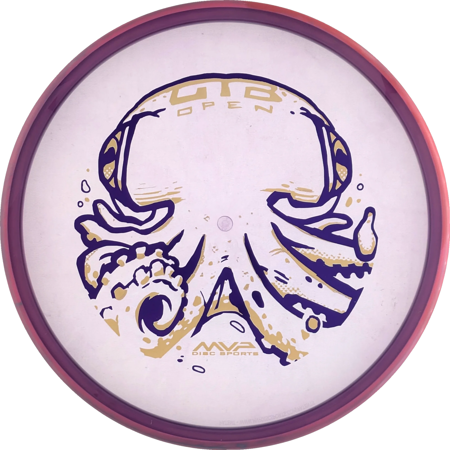 Proton Soft 2026 OTB Open Proxy