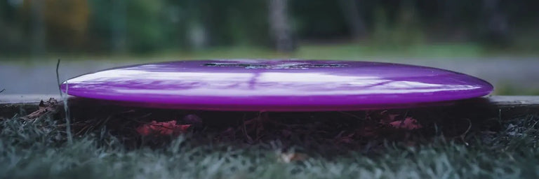 en lilla disc golf driver der ligger på et stykke træ på en græsplæne