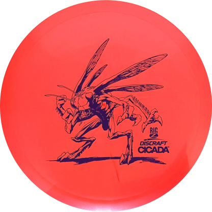 Big Z-Line Cicada